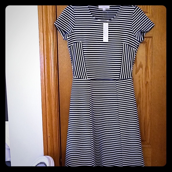 Dresses & Skirts - Dress